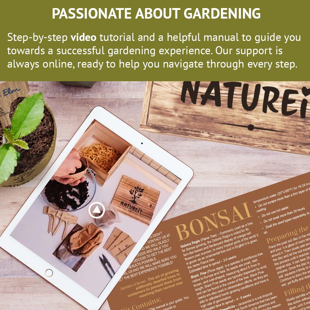 Bonsai Tree Seed Starter Kit - All You Need to Grow 4 Bonsai Trees from Seeds. All-in-One Indoor/Outdoor DIY Beginner Grow kit for Men & Women. Best Gift Idea for Mom and Dad (Premium Gift Box)