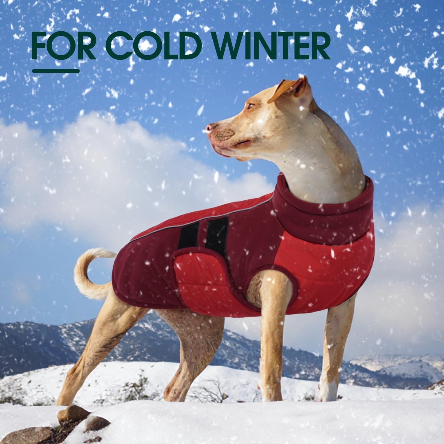 Kuoser Red Dog Coat, Winter Dog Jacket, Medium Size, Polyester Blend, Reflective Strips, Adjustable, Machine Washable