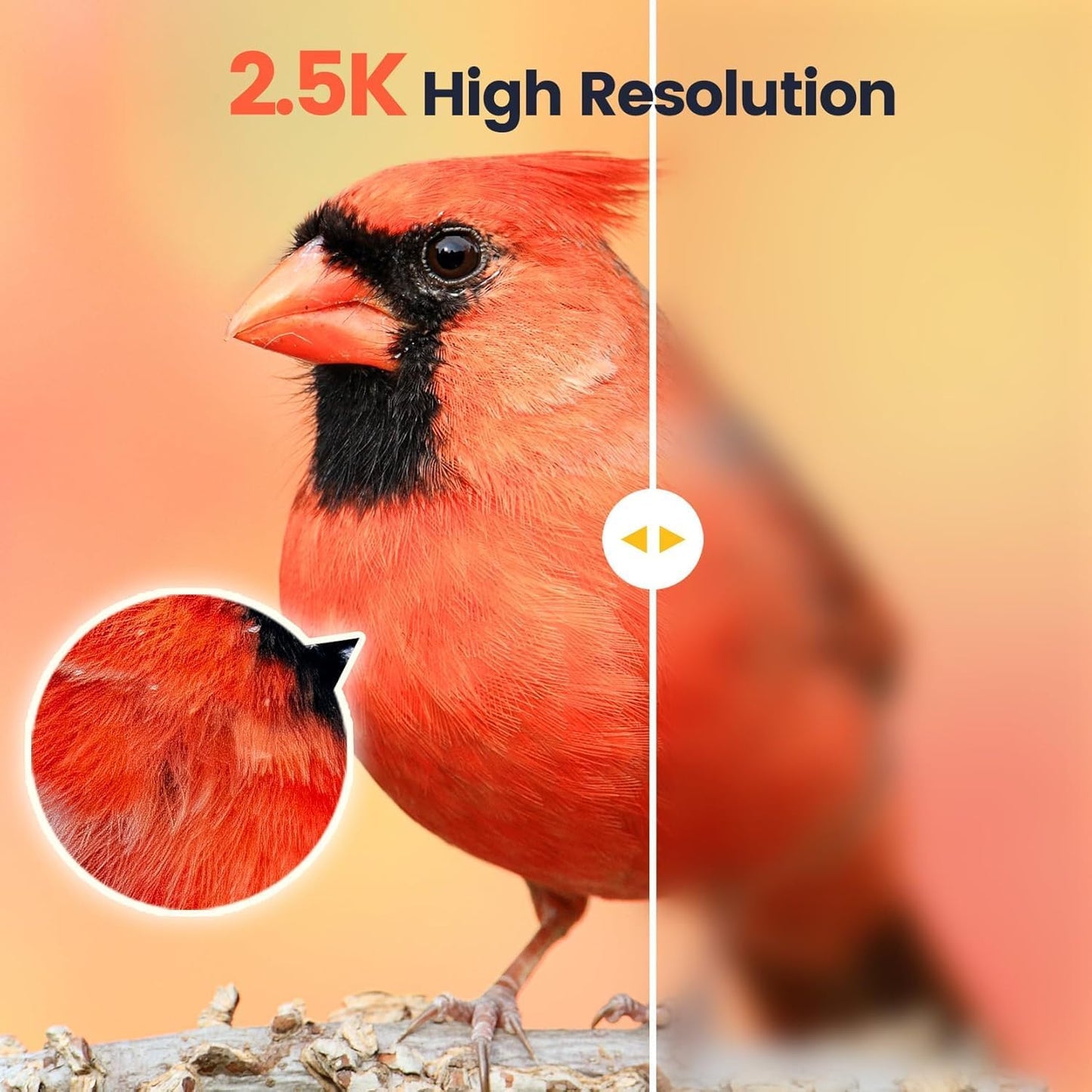 Camera Bird Feeder,Smart Bird Feeder with Camera,High-End Bamboo Birds Watching Cam,2K HD Came Solar Powered,AI Identify 16000+,Auto Capture Birds & Notify in Time, Ideal Gift for Backyard Birder