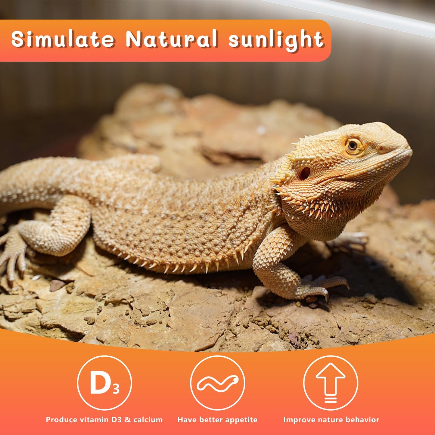REPTI HOME 2PCS T5 UVB Reptile Light 8W 10.0,UVA UVB Light Bulb for Reptiles,Reptile UVB Lamp Tube for Bearded Dragon,12 Inchs