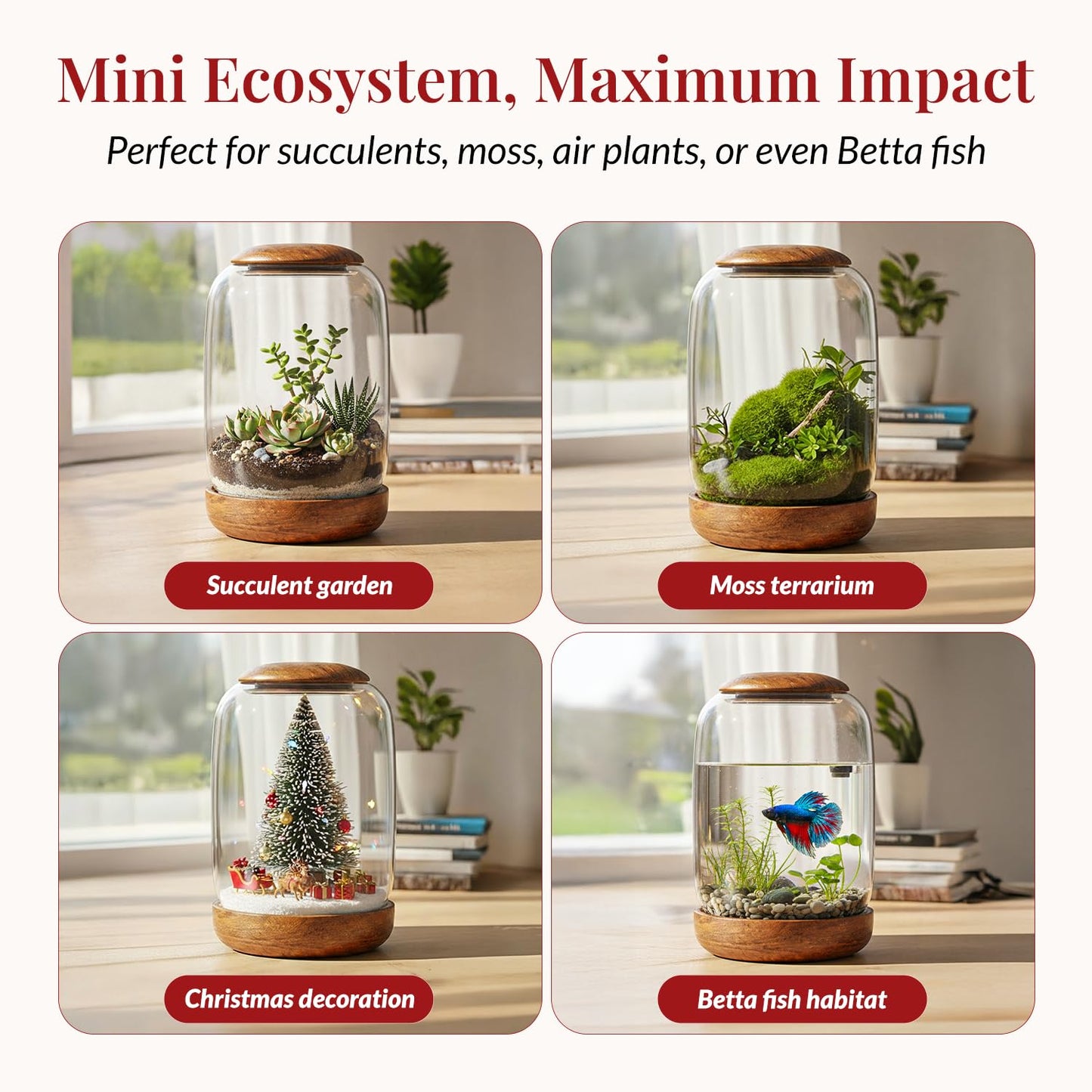 NoctisCorvus: Exclusive Glass Terrarium, Beautifully Enhanced by a Natural Wood lid and Base. Excellent for Plants and Betta Fish Tank. for Home and Office. Size: 6.3 Diameter by 8.7 Tall (Inches)