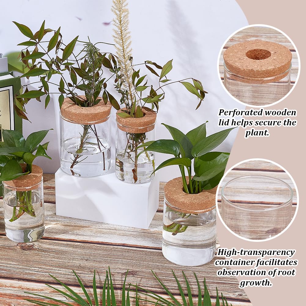 ORIGACH 12 PCS Plant Propagation Jars with Hole Lid, Two Sizes Glass Propagation Plant Vases Set for Living Room, Bedroom, Home,Office Decor, 3.3 Inch/2.6 Inch Diameter