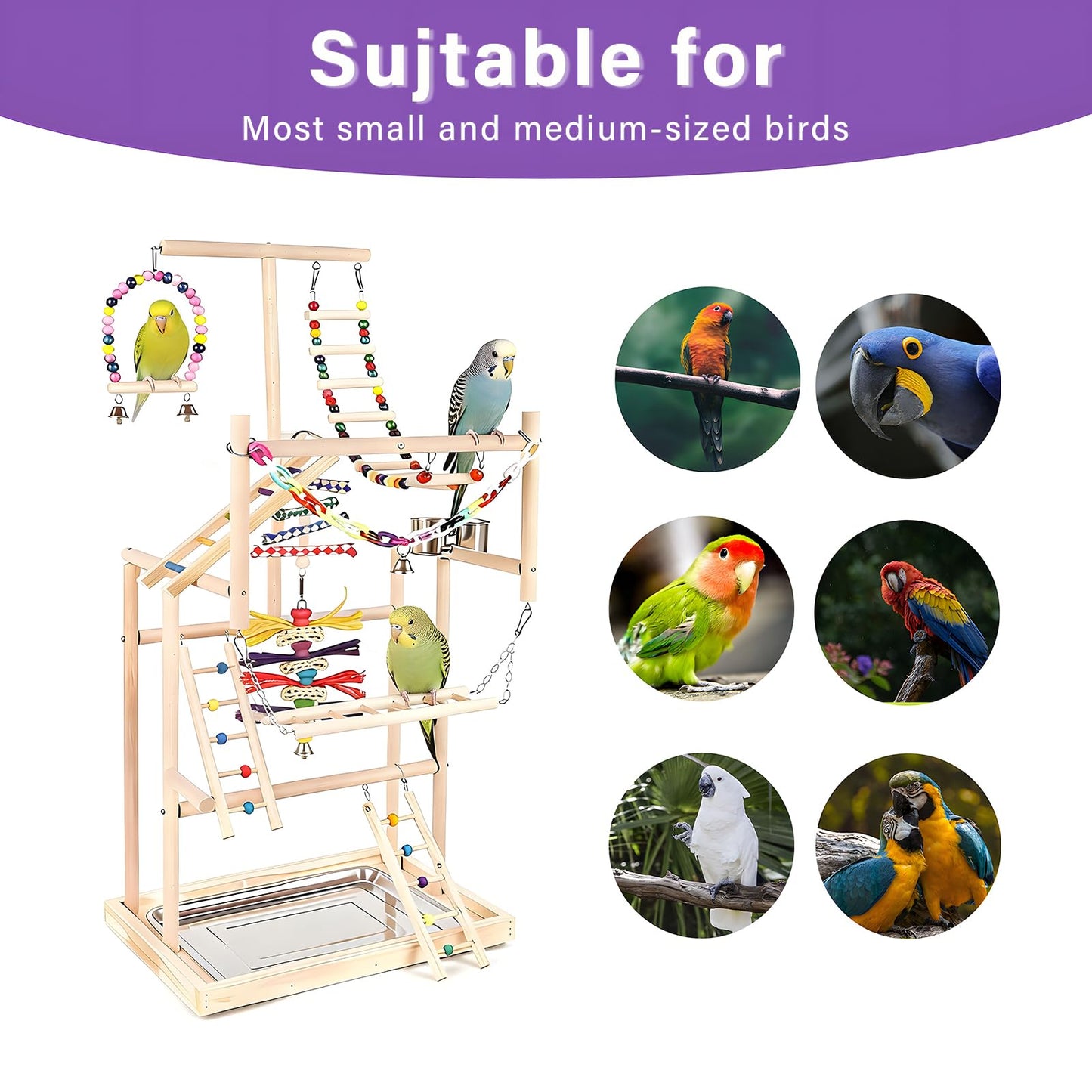 OCKYOOZ Bird Playground Pet Bird Parrot Playground Birds Stand 4 Layers Pet Parrot Playstand with Exercise Toys Swings Feeder Cups Birds Play Stand Wood Perch Gym Playpen Ladder for Cockatiel Parakeet
