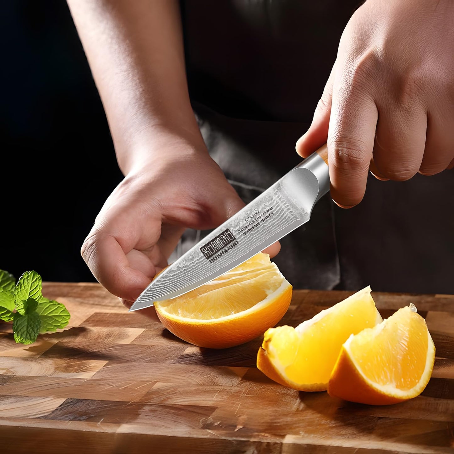 HOSHANHO Paring Knife 3.75 Inch, Professional 67 Layers Damascus Super Steel Small Fruit Knife Hand Forged Japanese Paring Knife