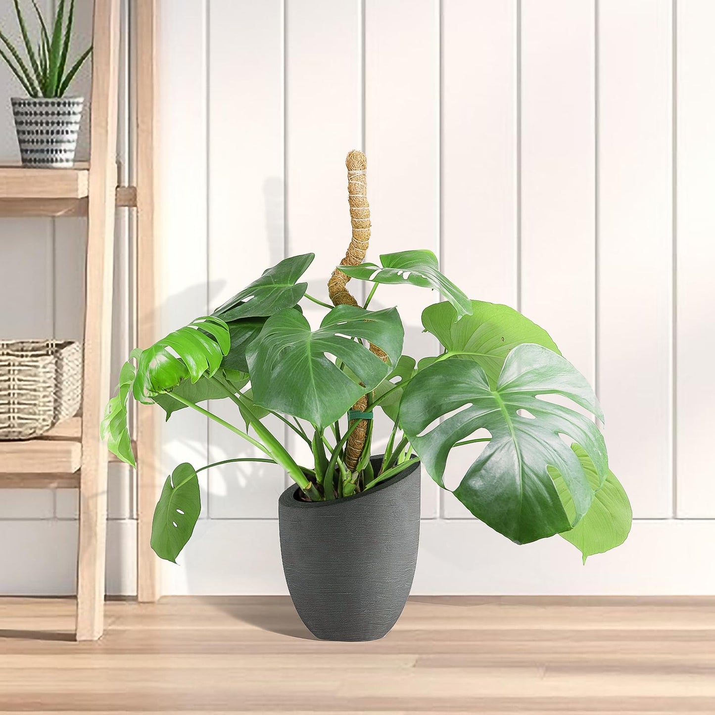 SYCARON Moss Pole, 4 PCS 47.2 Inches Moss Pole Plant Support Monstera, Coco Coir Plant Support Stakes for Small/Medium Potted Climbing Plants, Indoor Plants to Grow Upwards