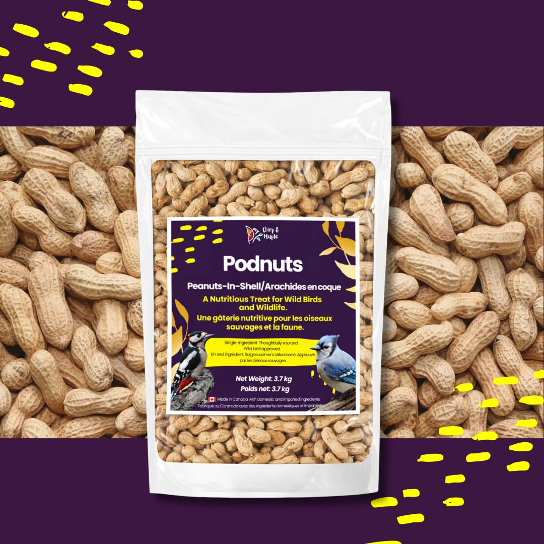 Chirp & Maple, Podnuts - Unsalted Peanuts in Shell for Wild Birds and Wildlife, Raw Unroasted, Premium Wild Bird Food 3.7KG Bag