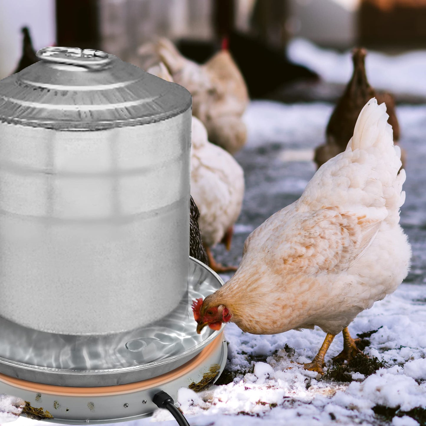 Chicken Water Heater Base for Winter, for Plastic/Metal Poultry Watere Under 6 Gallons, Heated Waterer for Chickens 130W