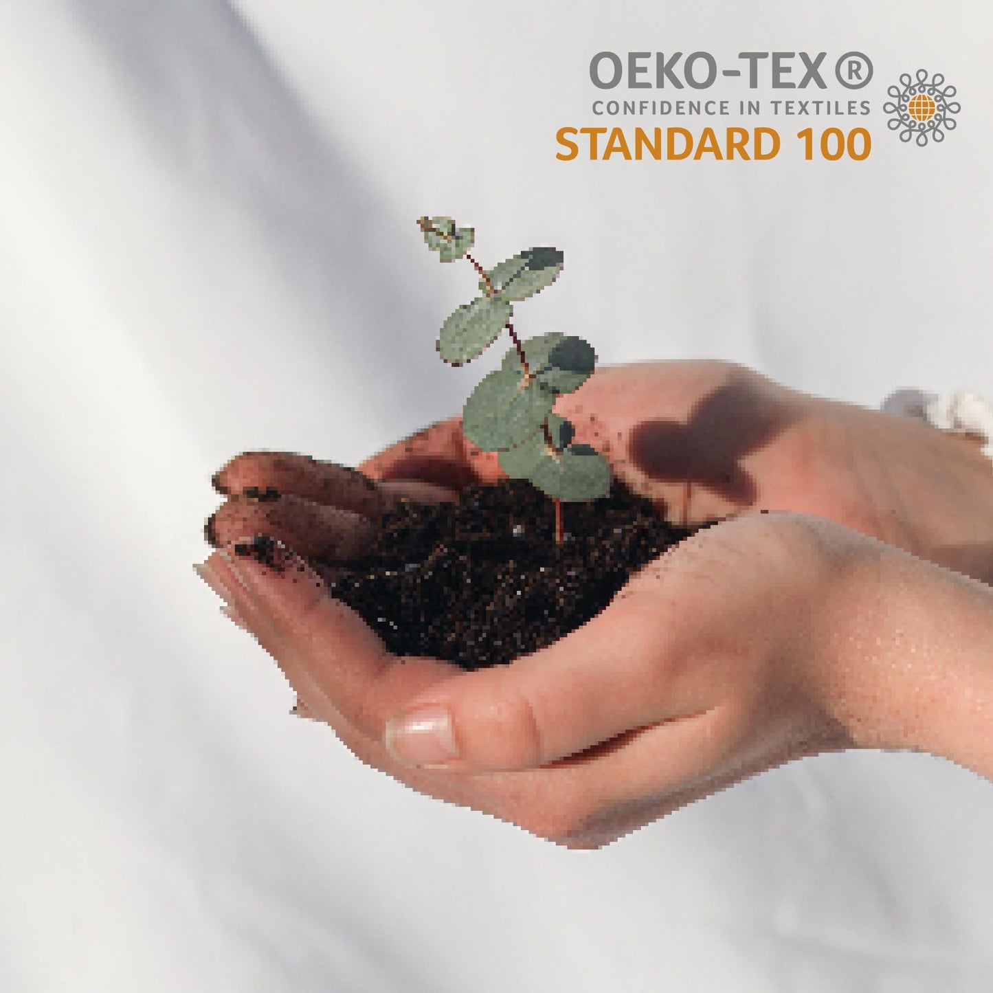 Cathay Home Ultra Soft Flannel Plush Fur Fitted Sheet, 1 Piece, Thick & Cozy Bed Sheet, Deep Pocket Fit, All Season Warmth, Wrinkle Resistant, Easy Care Bedding (King Size, Cream)