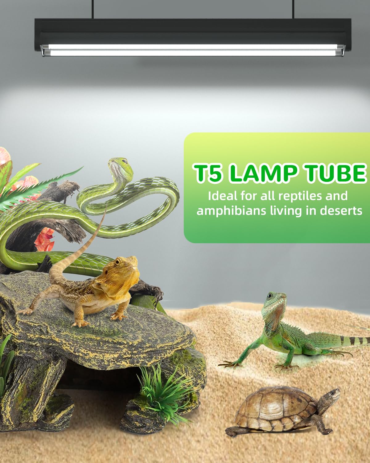 BrightArk T5 10.0 UVB Reptile Light 24W, 2 Pack, 22in, for Bearded Dragon, Chameleon, Tortoises, Lizards, Turtles