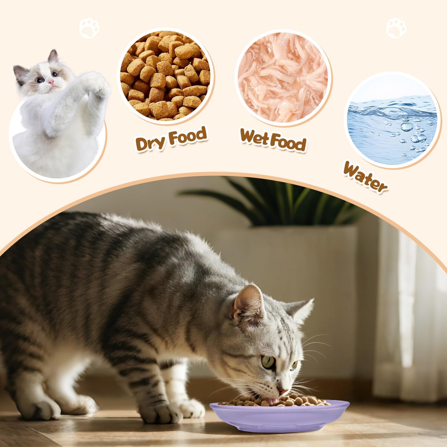 HSIGIO Ceramic Cat Food Bowl, Colorful Cat Bowls Whisker-Friendly, 5.9" Shallow Wide Kitten Plates, Easy to Clean Indoor Feeding Dishes