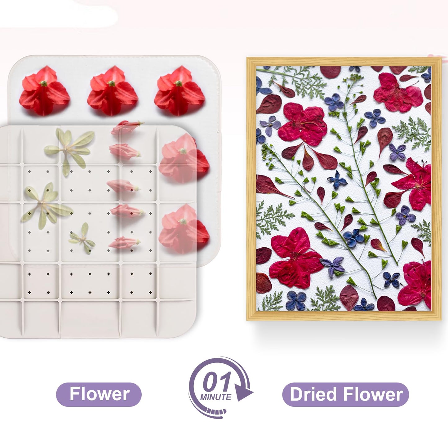 Suziko Quickly Dry Flowers 9 '' (23cm) Large Microwave Flower Press for Press Flowers&Leaves and Making Pressed Flowers with Photo Frame