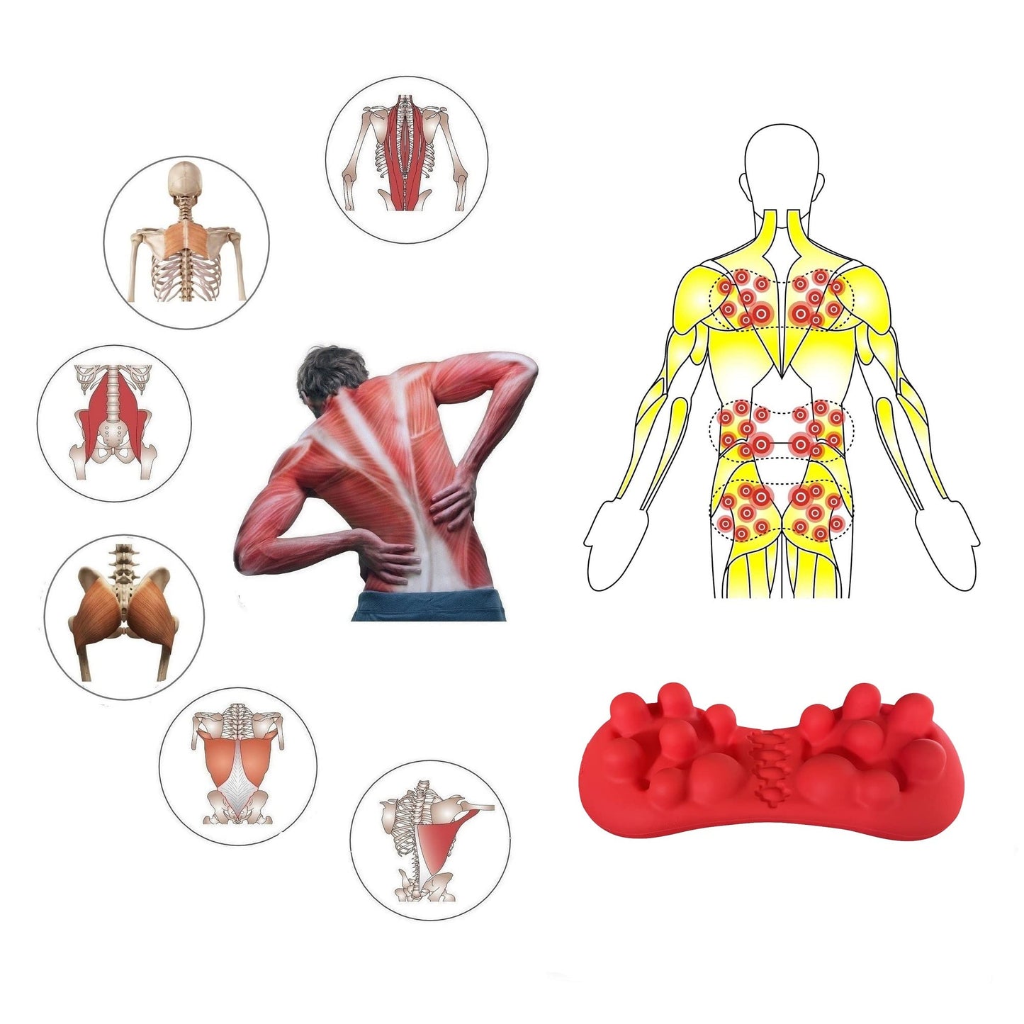 LittleMum Trigger Point Massager for Myofascial Release, Sciatica & Piriformis Syndrome - Relieves Back Knots and Strain Pain