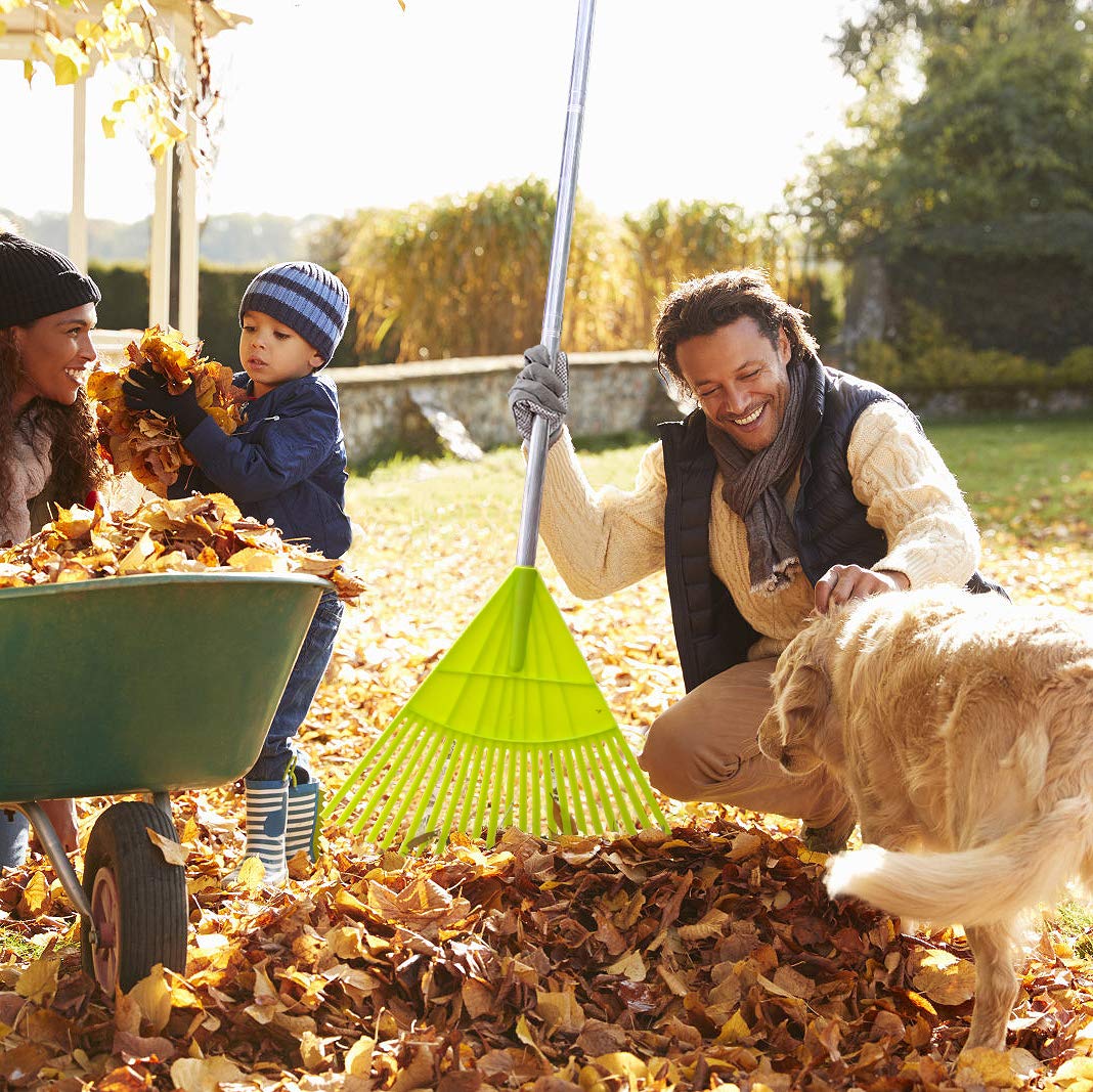 Colwelt Plastic Leaf Rake Set, Garden Poly Shrub Rake with 56’’ Lightweight Stainless Steel Handle, Durable Plastic Head 22Tines & 15Tines, Garden Rake Leaf to Collect Loose Debris Among Plants, Lawns