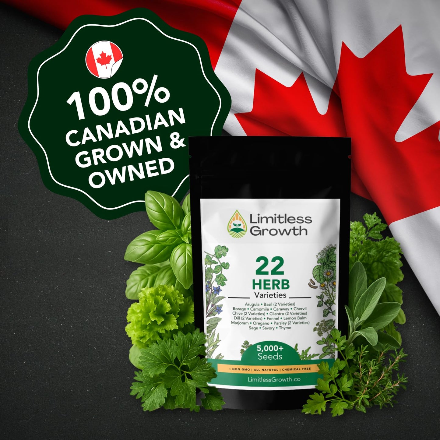 Herb Seed Pack | 22 Herb Varieties for Planting Canadian Climates | Arugula, Basil, Borage, Chamomile, Caraway, Chervil, Chive & More | Beginner-Friendly Indoor Herb Garden Kit | Limitless Growth