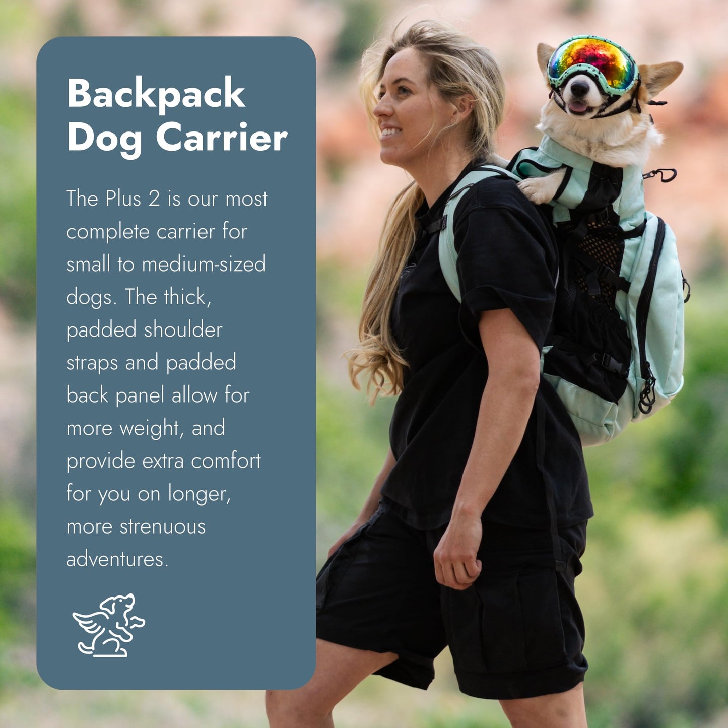 K9 Sport Sack | Dog Carrier Backpack for Small and Medium Pets | Front Facing Adjustable Dog Backpack Carrier | Fully Ventilated | Veterinarian Approved (Large, Air Plus - Light Grey)