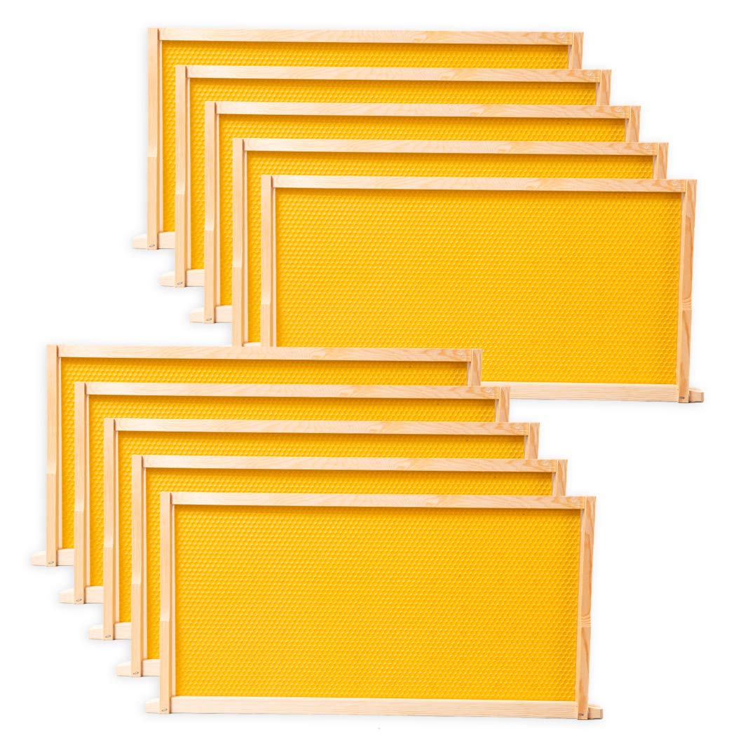 BeeCastle 10 Pack Beehive Frames and Wax Foundations for Deep Brood Bee Hives with Honeycombs Wooden Bee Hive Frames and Beeswax Coated Foundations, 9-1/8-Inch (Yellow)
