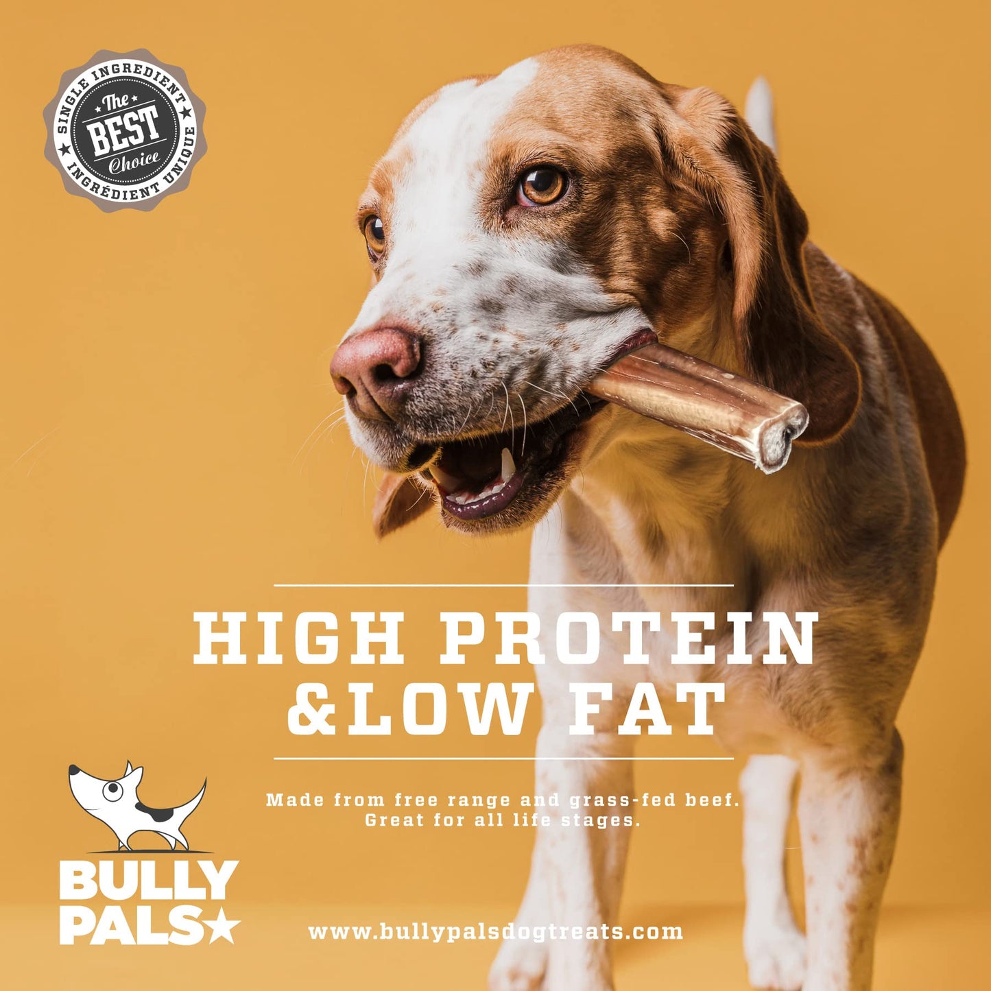 BULLY PALS - 12 inch Bully Sticks Standard - 10 Pack - All Natural, Single Ingredient, Dehydrated, Rawhide and Chemical Free, Fully Digestible Dog Treat and Dental Chew for Small to Medium Dogs