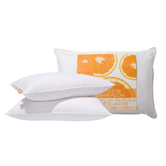 Canadian Down & Feather Co. – 2 Pack Medium Support White Goose Feather Pillow King Size – 255 TC Shell 100% Cotton – Filled in Canada