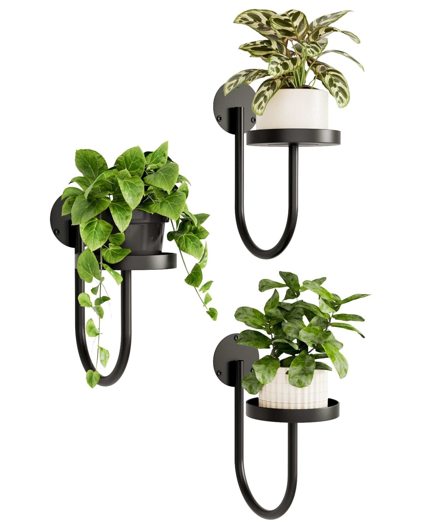 Bamworld Wall Plant Holder Wall Planters for Indoor Plants Plant Hanger Indoor Window Plant Shelves Hanging Plant Holder Window Plant Hanger Plant Decor Black 3pcs