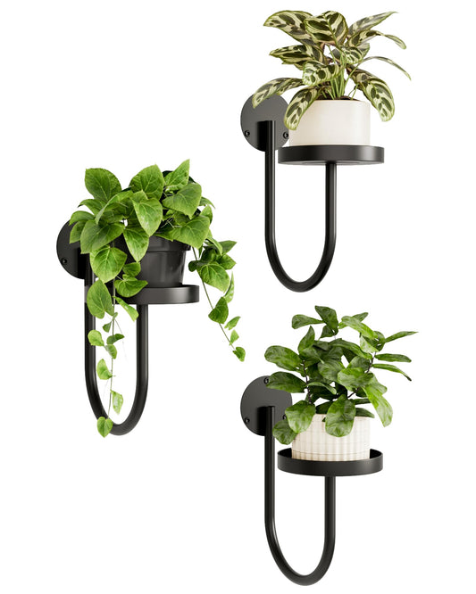 Bamworld Wall Plant Holder Wall Planters for Indoor Plants Plant Hanger Indoor Window Plant Shelves Hanging Plant Holder Window Plant Hanger Plant Decor Black 3pcs