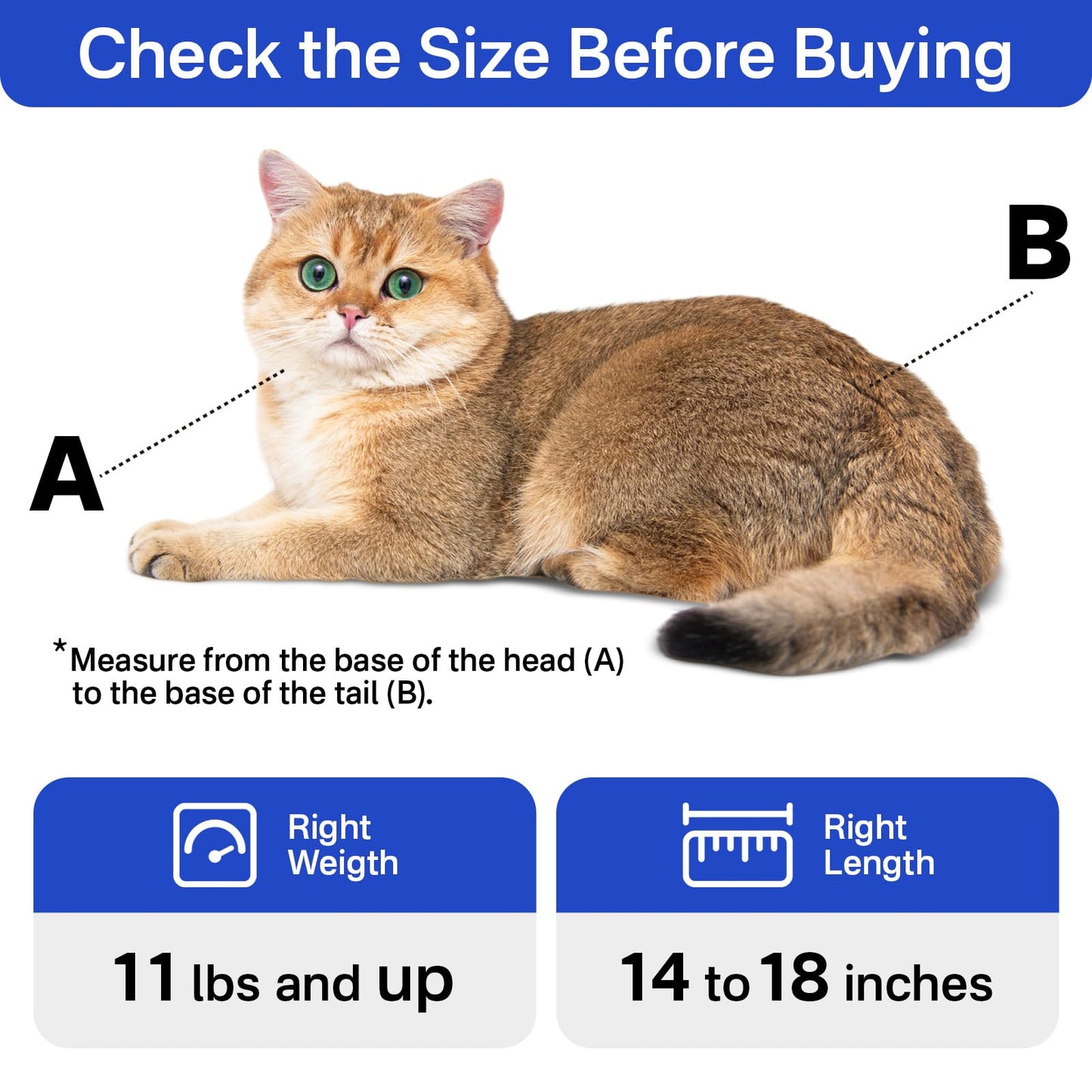 Amkune Cat Carrier Pouch,Looking for a Soft cat Carrier That’s Safe, Calming, and Easy to use (Lavender, Large (11 lbs and up))
