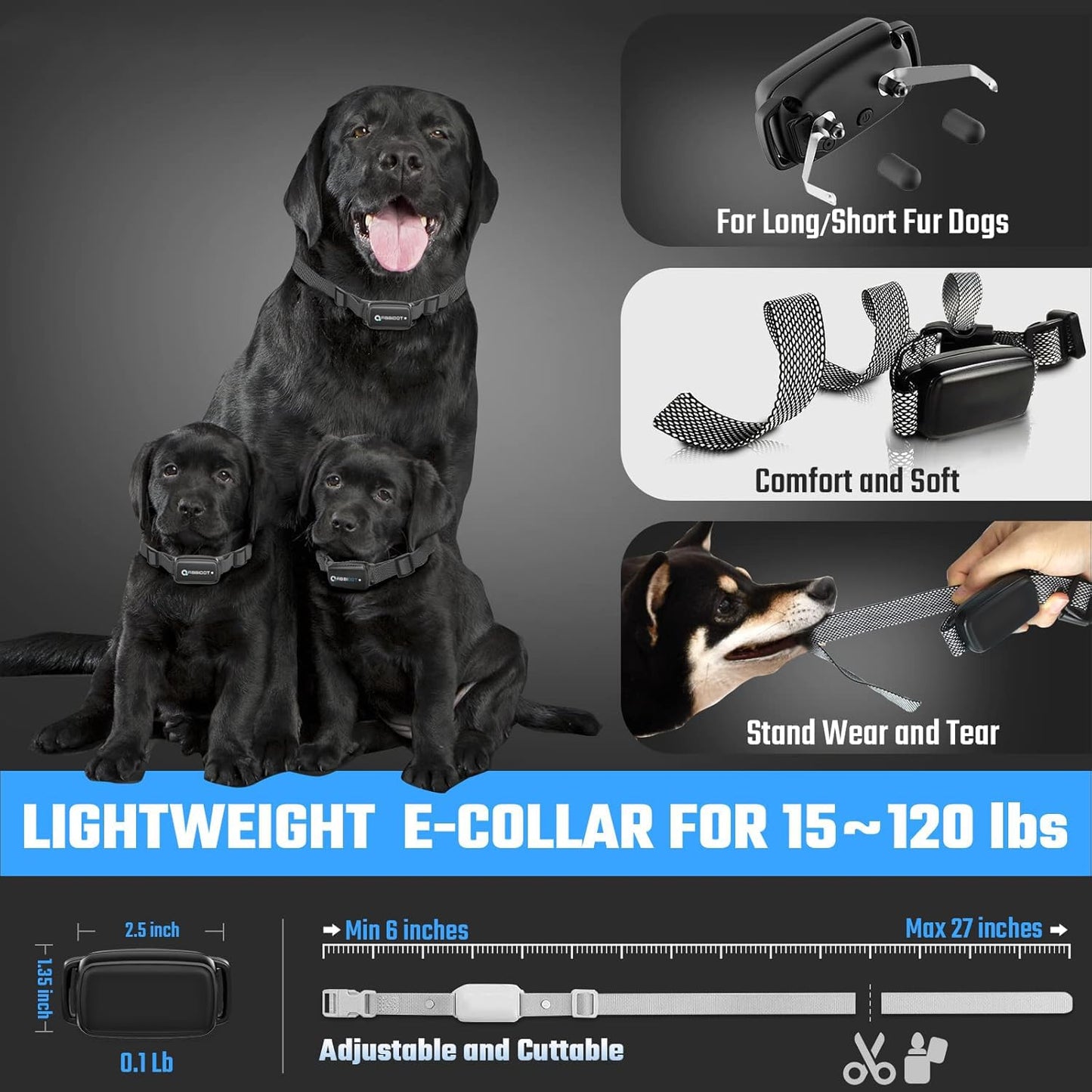 Dog Training Collar