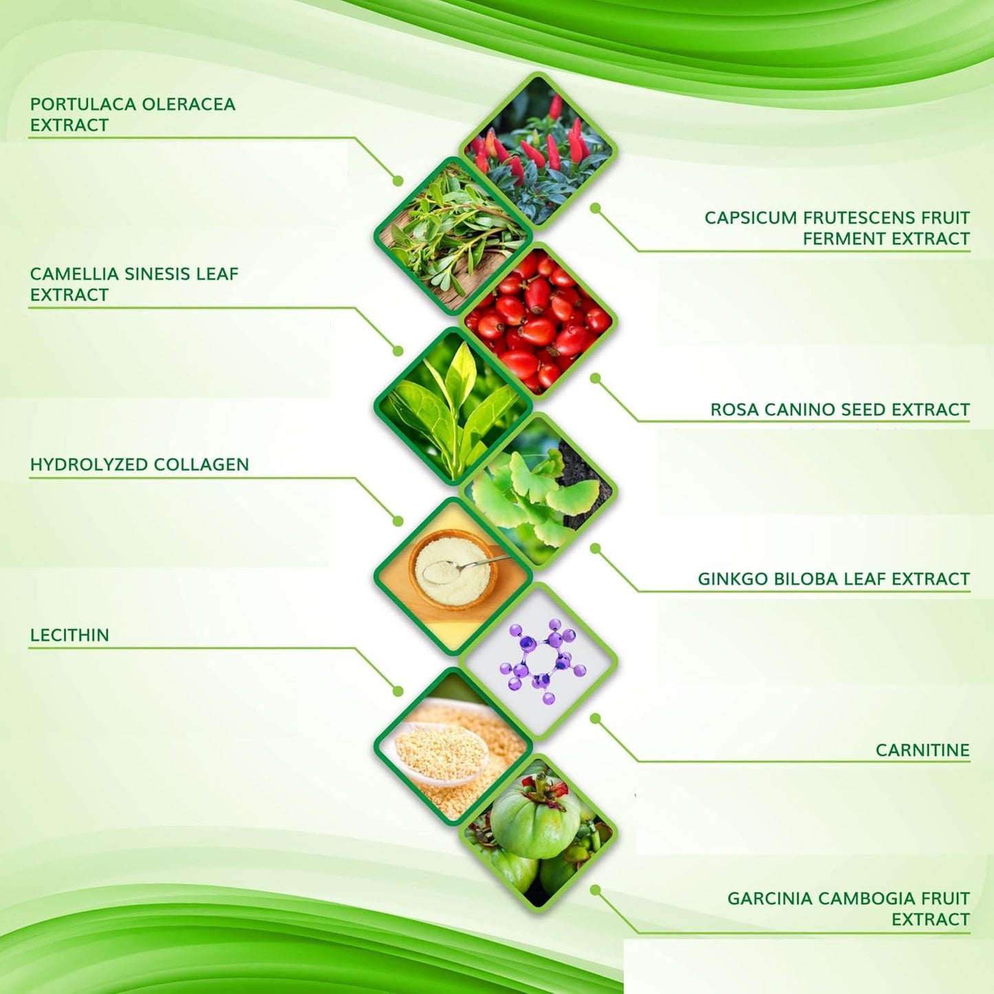 Body Wrap by Shape and Tone – Firming and Shaping Contouring Patch Body Wrap – New Improved Anti Cellulite Solution (15 WRAPS)