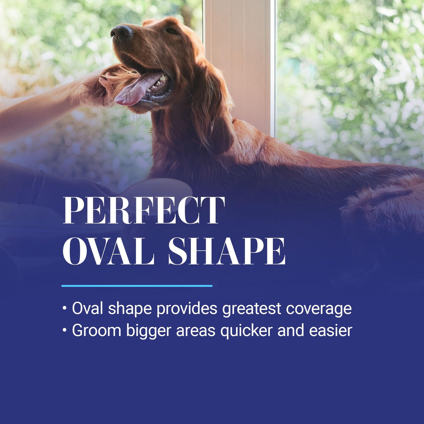 Chris Christensen 20 mm Oval Pin Dog Brush, Original Series, Groom Like a Professional, Stainless Steel Pins, Lightweight Beech Wood Body, Ground and Polished Tips