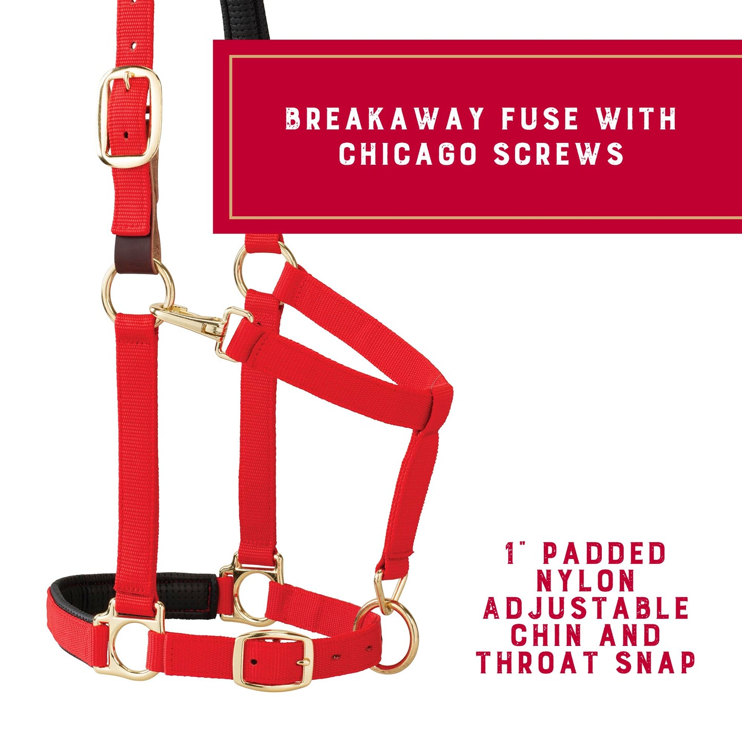 Weaver Equine Breakaway Horse Halter, Comfort Foam Padding, Adjustable Chin & Throat Snap Halters for Horses, Equine Tack,Average Size, Red