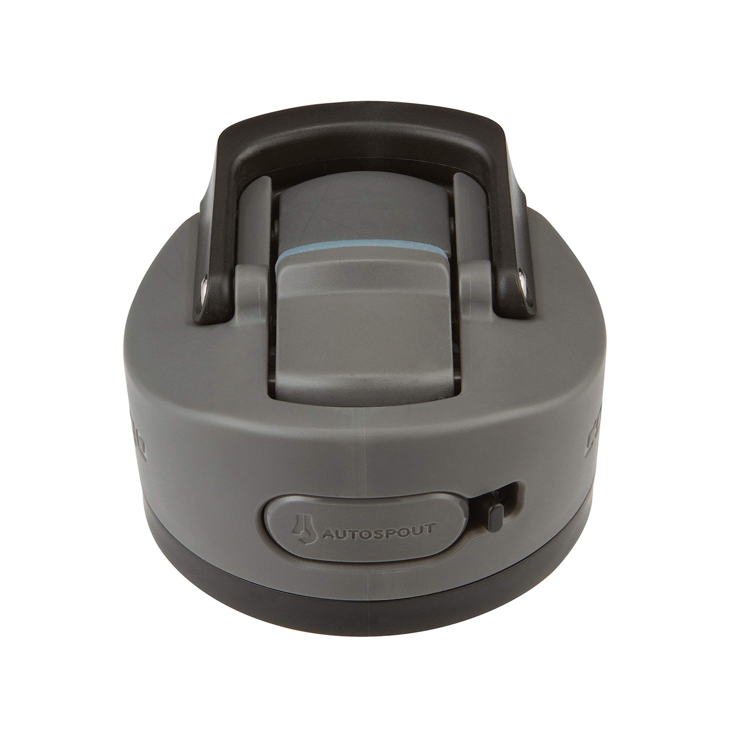 Contigo Ashland Chill 2.0 Stainless Steel Leak-Proof Water Bottle with Straw and Carry Handle for Easy Travel, Vacuum-Insulated and BPA-Free, Licorice, 24 oz (709 mL)