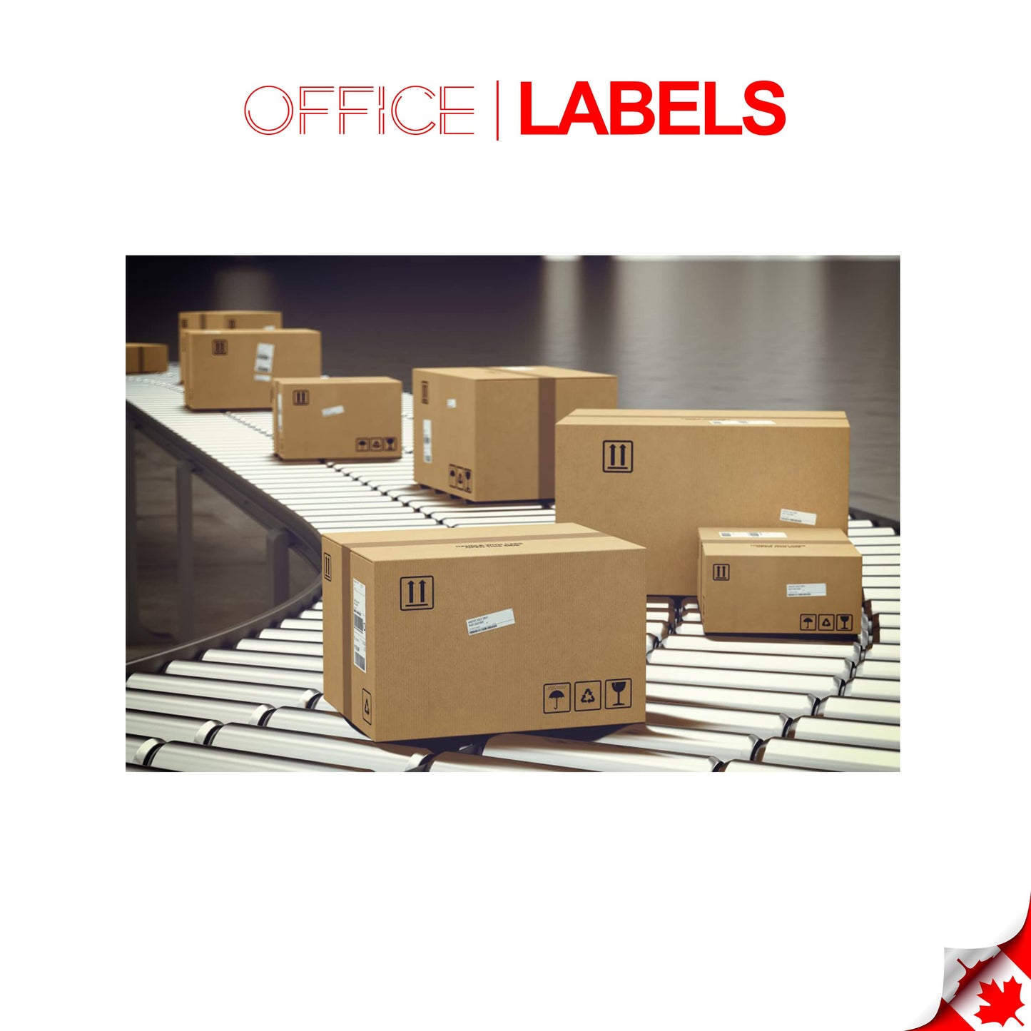 OFFICE LABELS Replacement for Dymo 30333 1/2 x 1 10 Rolls
