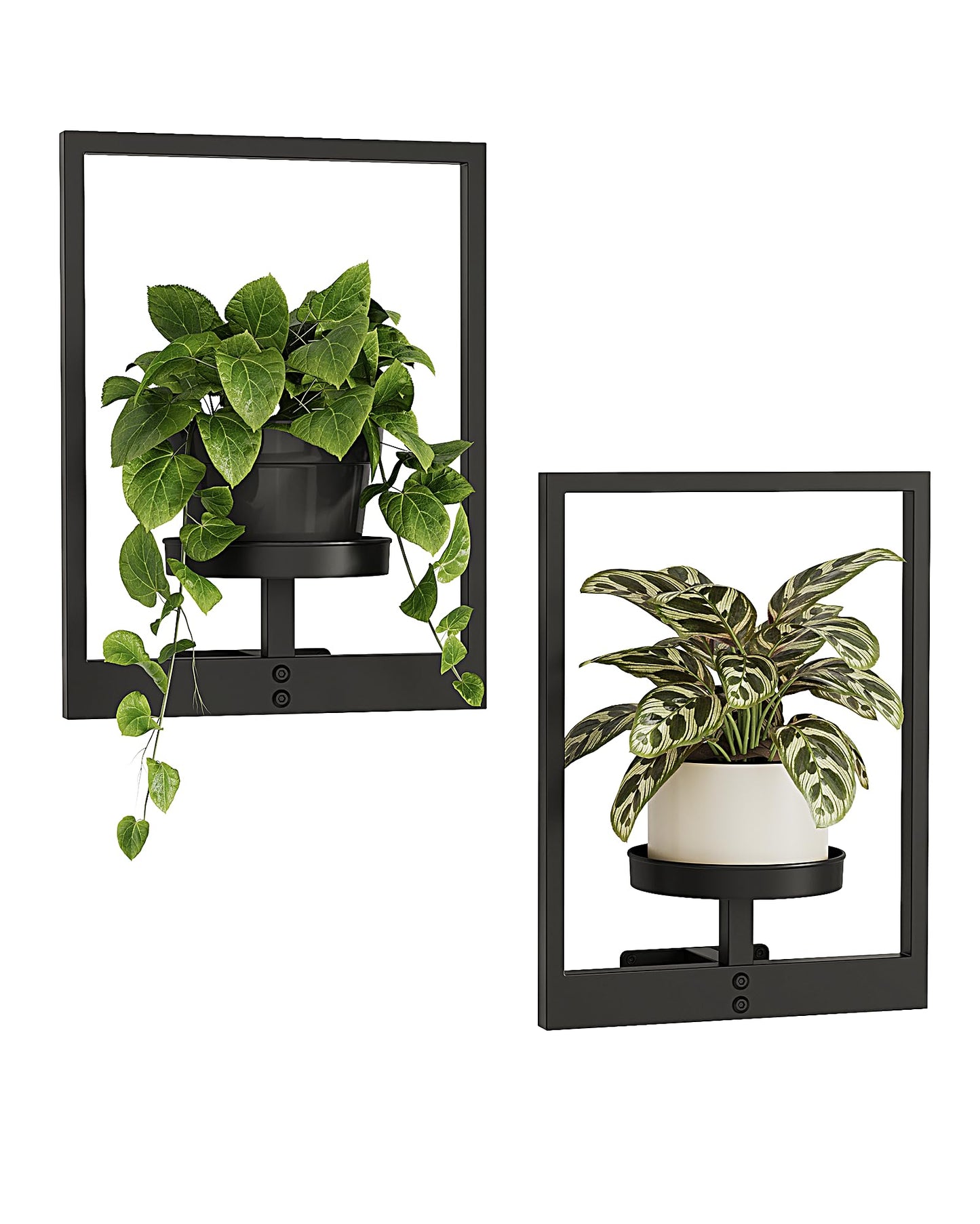 Bamworld Plant Stand Indoor Wall Decor Metal Plant Hanger Indoor Hanging Plant Holder Wall-Mounted Planters Outdoor Plant Rack Black 2 Pack (Patent Design)