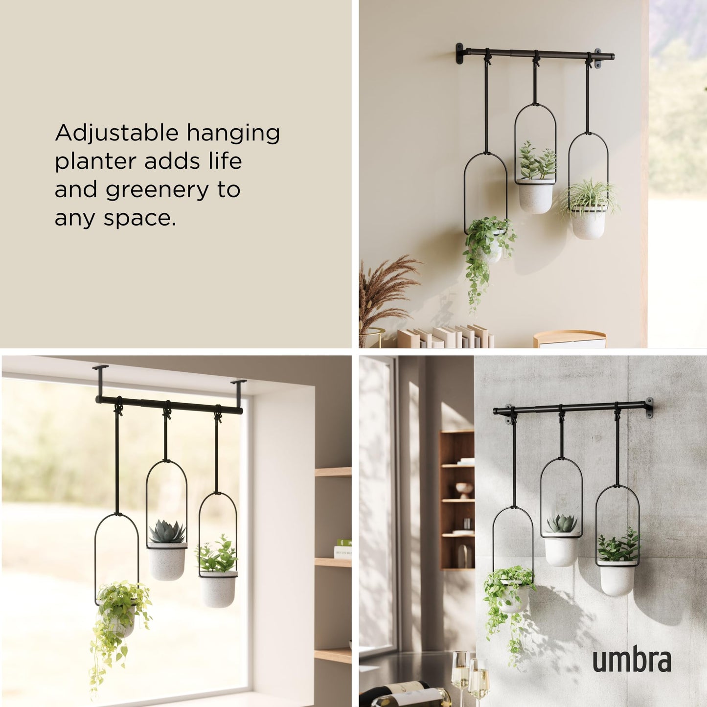 Umbra Triflora Hanging Planter for Window, Indoor Herb Garden, White/Black