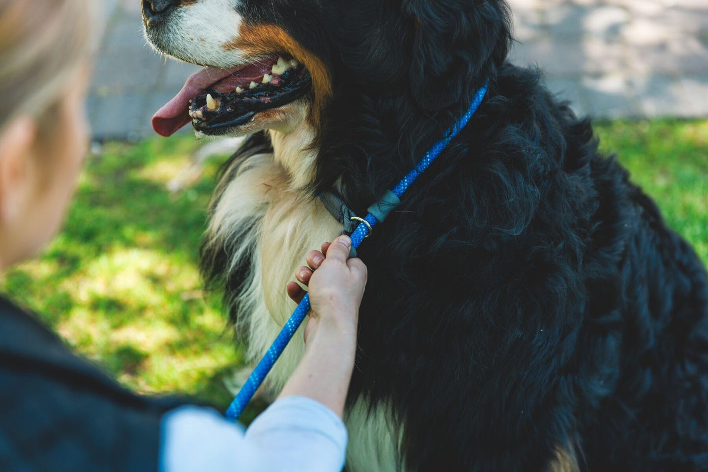 Ruffwear, Just‑a‑Cinch Slip Lead Dog Leash, 5 ft Reflective Rope with Adjustable Silicone Stoppers, Collar‑Free Cinch Design, Tubular Webbing Handle, Accessory Loop, Obsidian Black