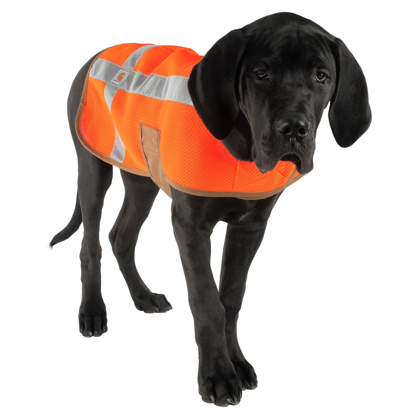 Carhartt Mesh Safety Dog Vest, Hi-Visibility Lightweight Dog Vest, Hunter Orange, Large
