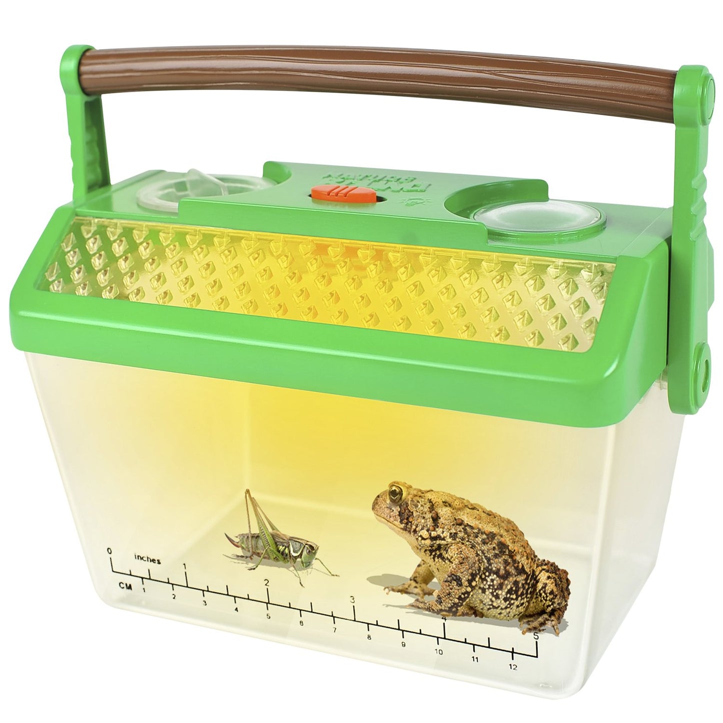 Nature Bound Bug Catcher Critter Barn Habitat for Indoor/Outdoor Insect Collecting with Light Kit, Green, Basic (NB501)