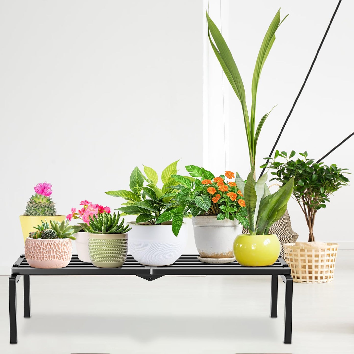 1 Tier Metal Plant Stand Indoor Outdoor, Potted Multiple Flower Pot Holder Rack Plant Shelf, Heavy Duty Planter Display Shelving for Patio Balcony Garden Living Room Decorative (1 Tier-black)