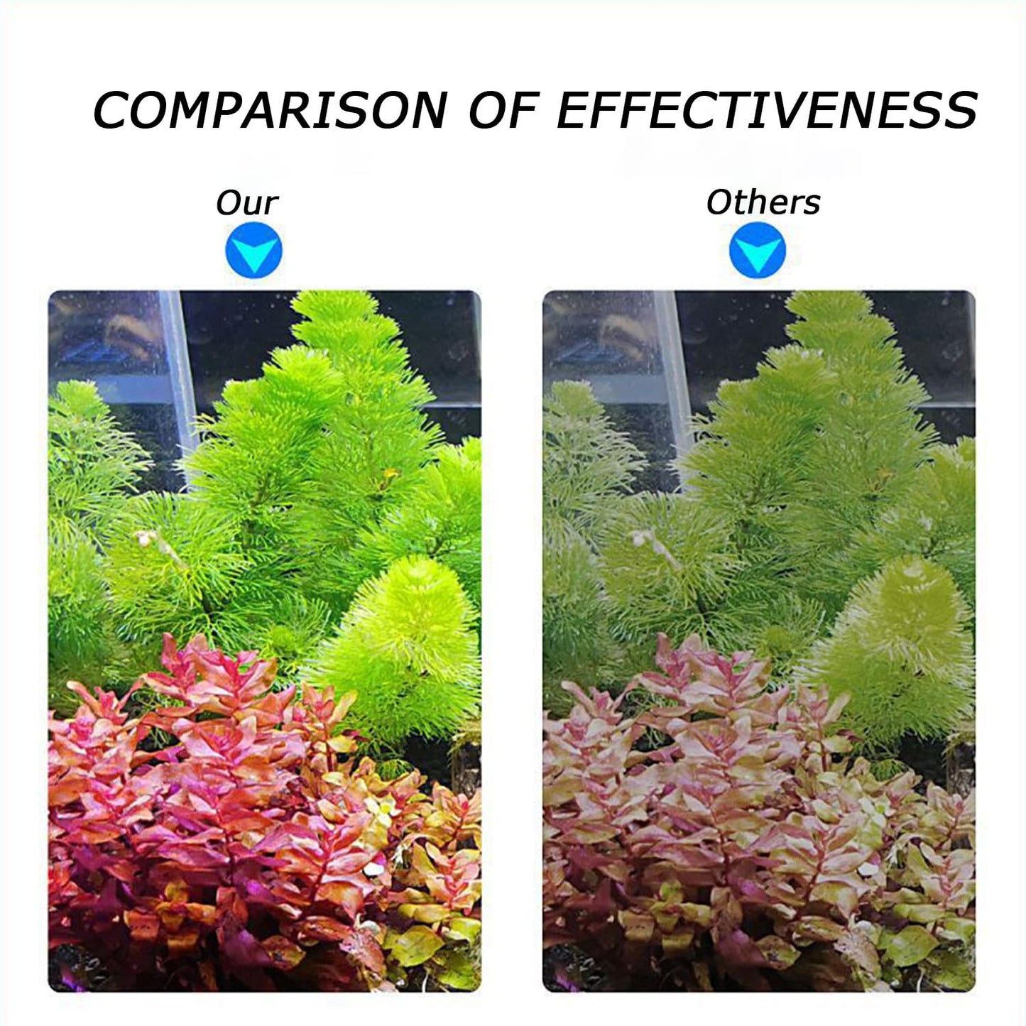 LED Aquarium Light Full Spectrum Clip Fish Tank Light Plants Lamp 360° Adjustable 2 Light Bar Super-Bright 6W Suitable for 10-30 Gal Fish Tank (6W)