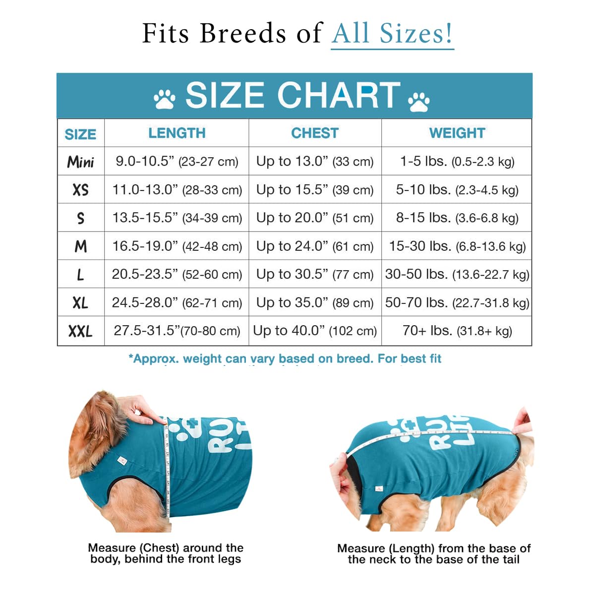 BellyGuard Dog Surgery Suit for Male and Female, Onesie for Dogs After Surgery, Spay or Neuter Recovery Suit for Post-Op Care