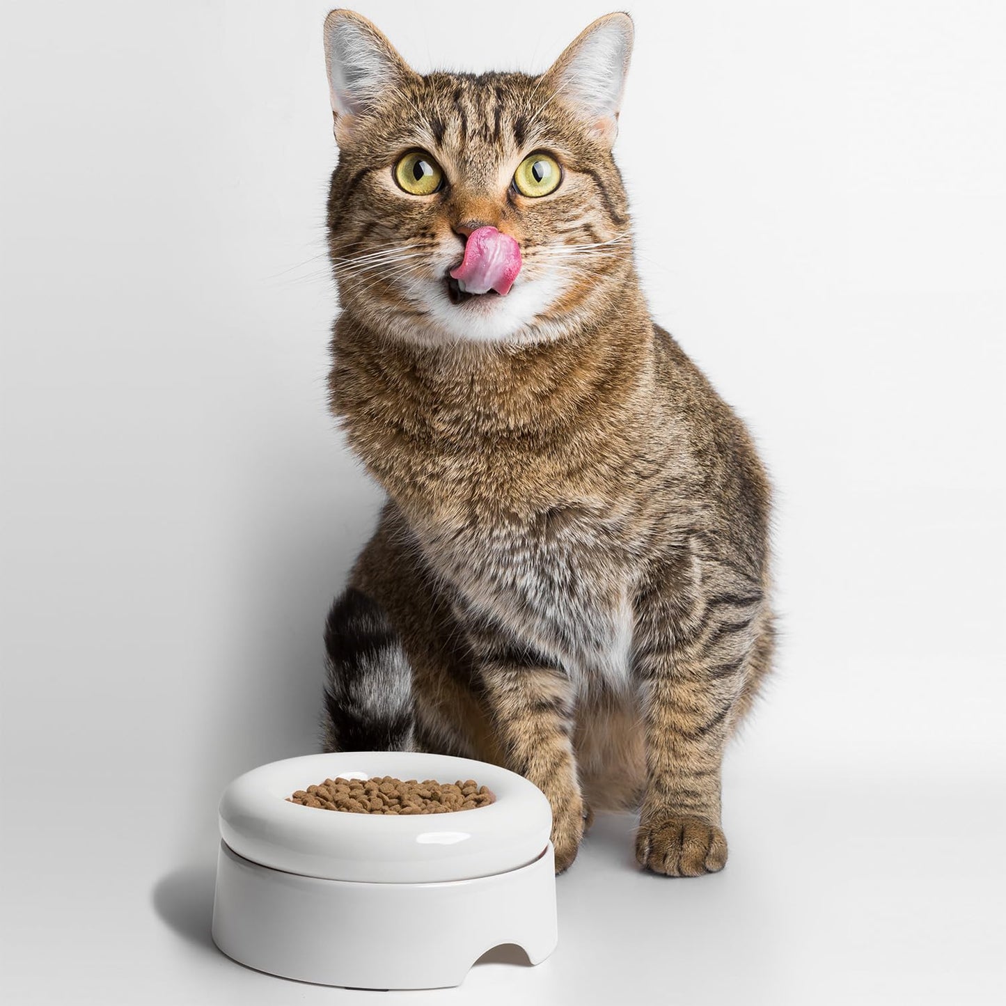 CatGuru Ceramic Cat Food Bowl (Torus, Set of Two, White)