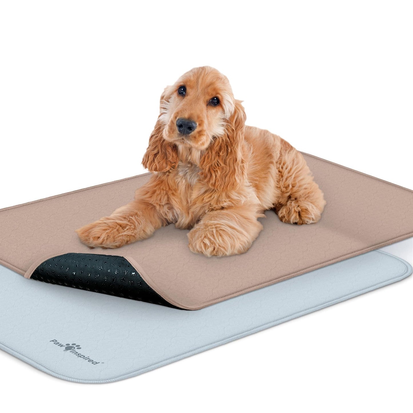 Paw Inspired Washable Pee Pads for Dogs | Reusable Puppy Pads | Waterproof Whelping Pads | Washable Training Pet Pads, Washable Potty Pads (47x29 (2 Pack))