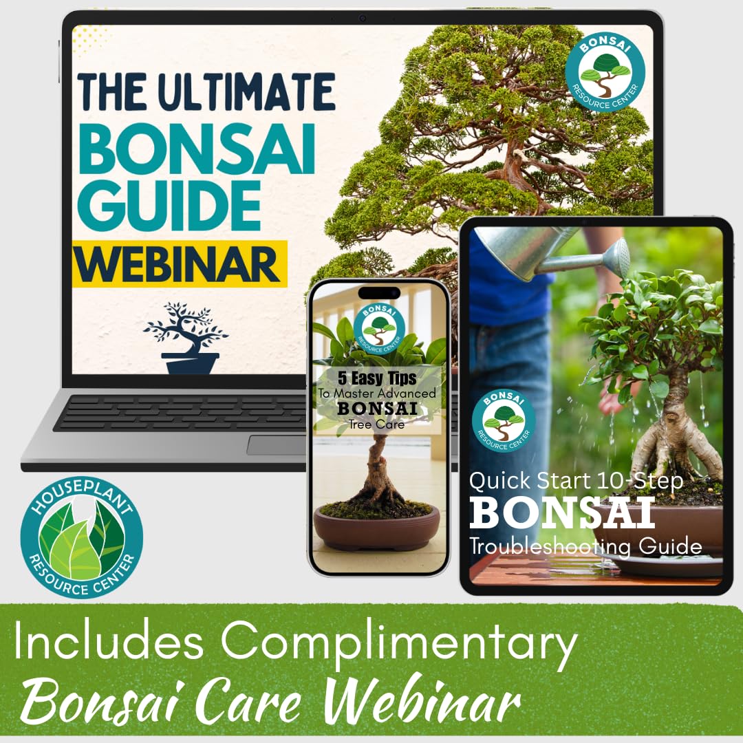 Bonsai Tree Food | Premium, Gentle Liquid Fertilizer for Healthy Growth, Strong Stems and Beautiful Blooms | 3-3-3 Balanced NPK Concentrate | 8 oz (240 ml)