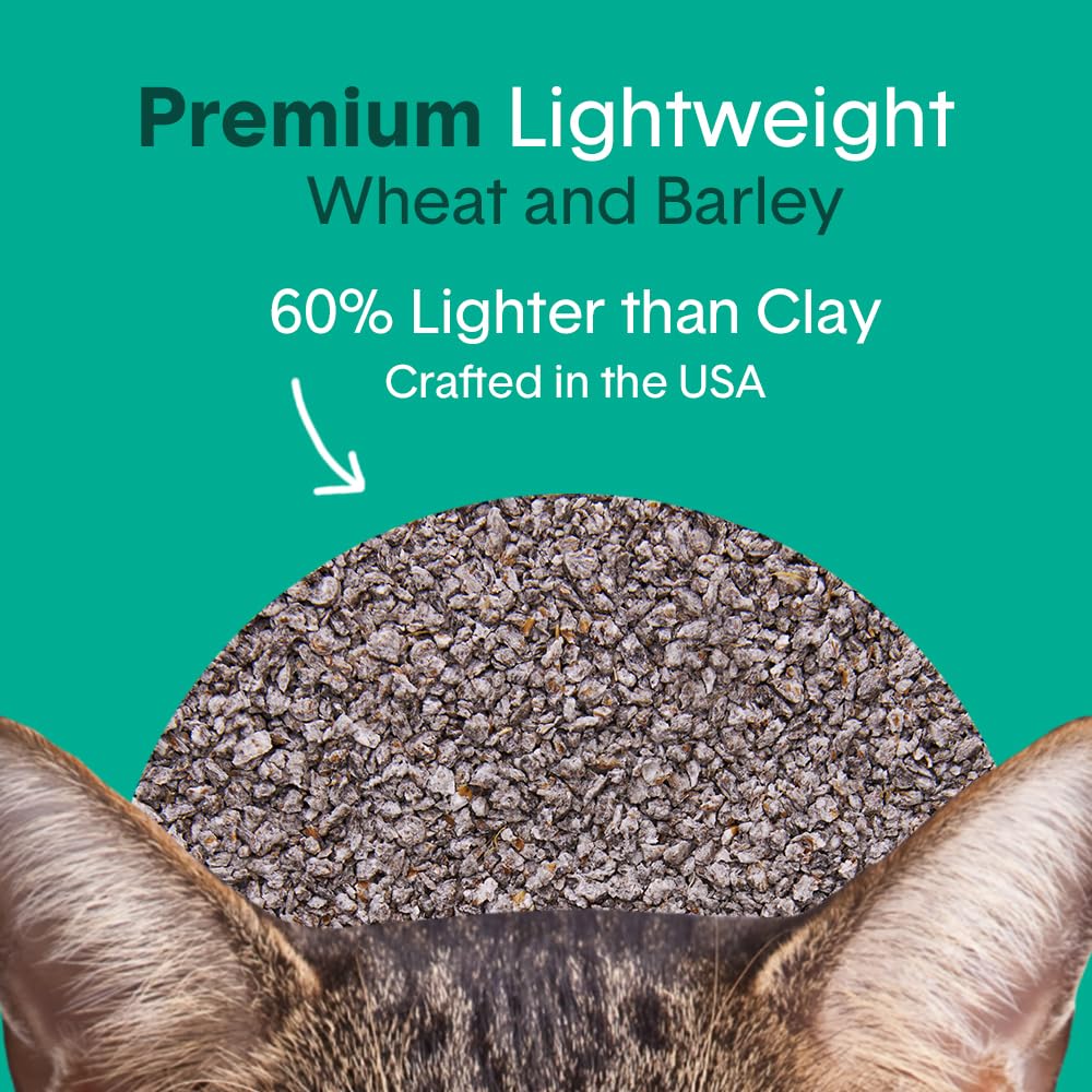 Boxiecat Air Lightweight, Gently Scented, Premium Clumping Litter 11.5lb