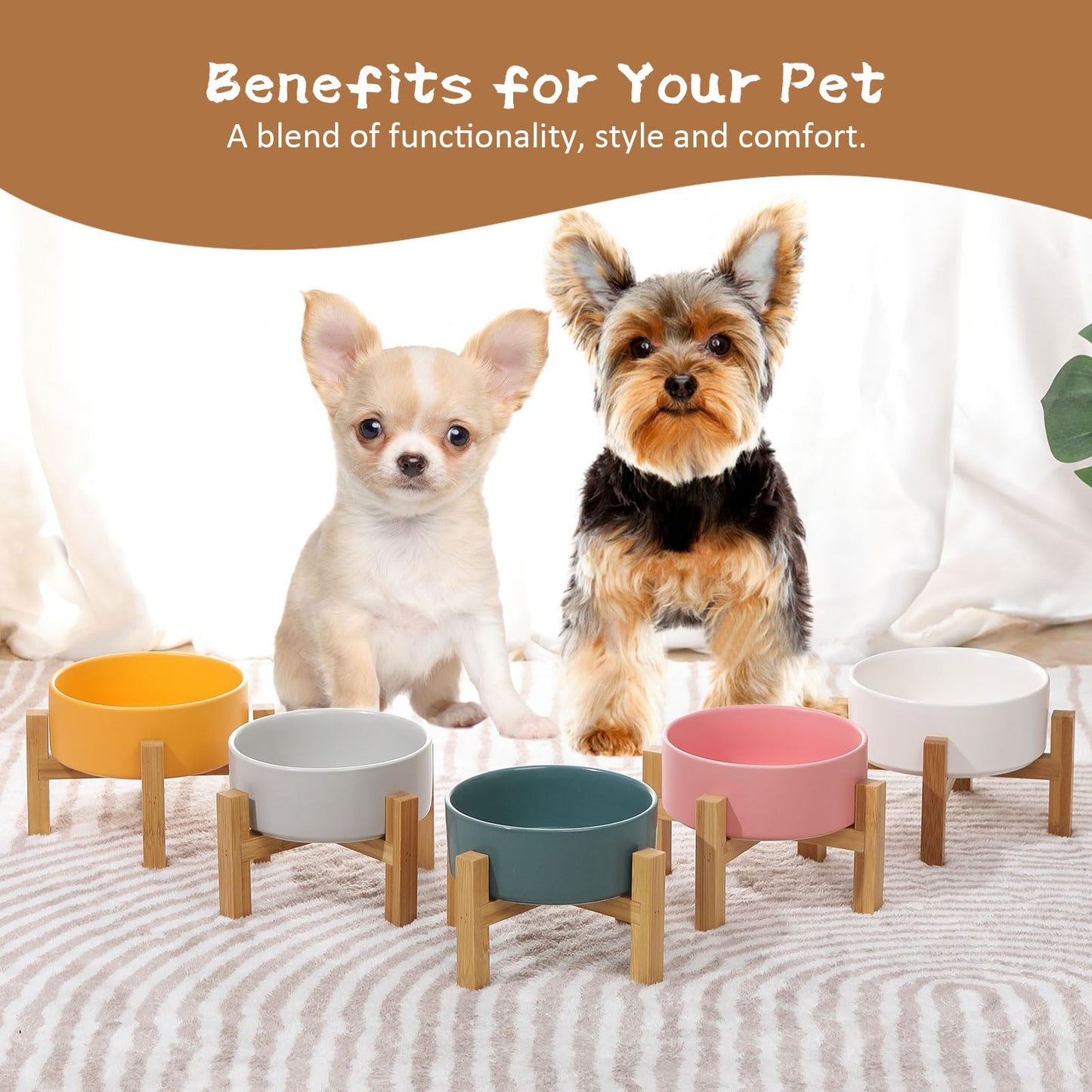 Ceramic Elevated Raised Cat Bowls - Cat Food Dish with Stand - Double Raised Cat Food and Water Bowls Anti Vomiting - Pet Bowl with Anti Slip Rubber pad - Stress Free for Cats and Small Dogs -set of 2