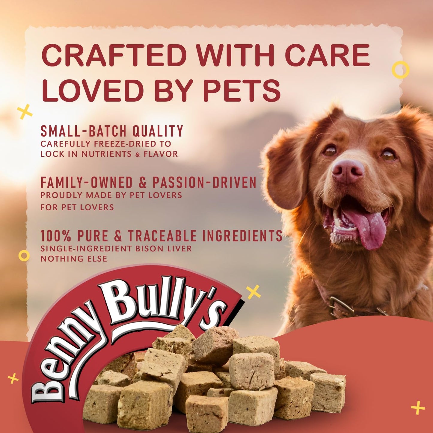 Benny Bullys Pillow Pack Mini Bits - Freeze Dried Dog Treats - Pack of 12