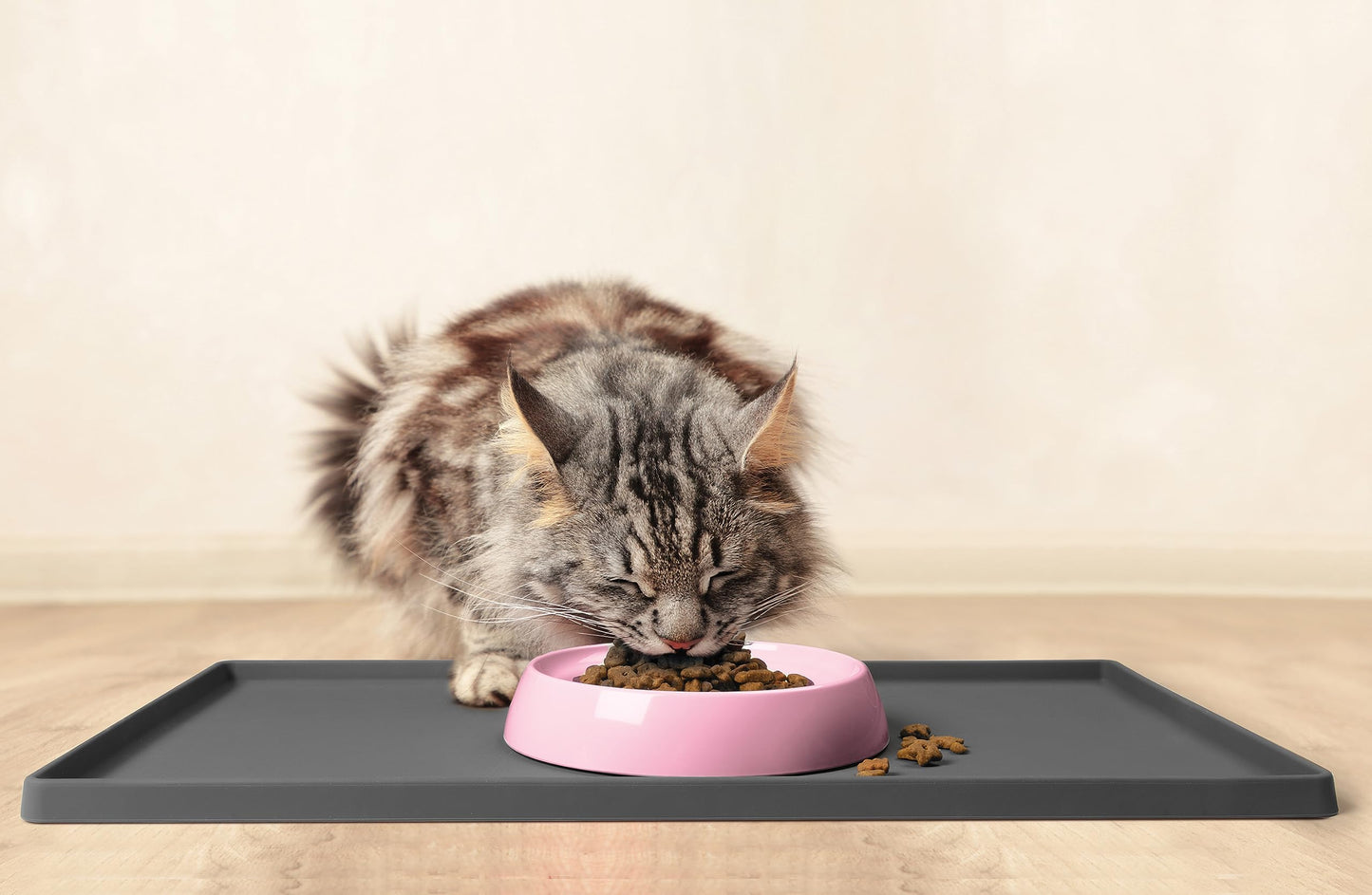 CatGuru Cat Bowls, Whisker Stress Free Cat Food Bowl, Reliefs Whisker Fatigue, Wide Cat Bowl, Non Slip Cat Food Bowls, Shallow Cat Dish, Cat Feeding & Watering Supplies (Set of Two, Pink)