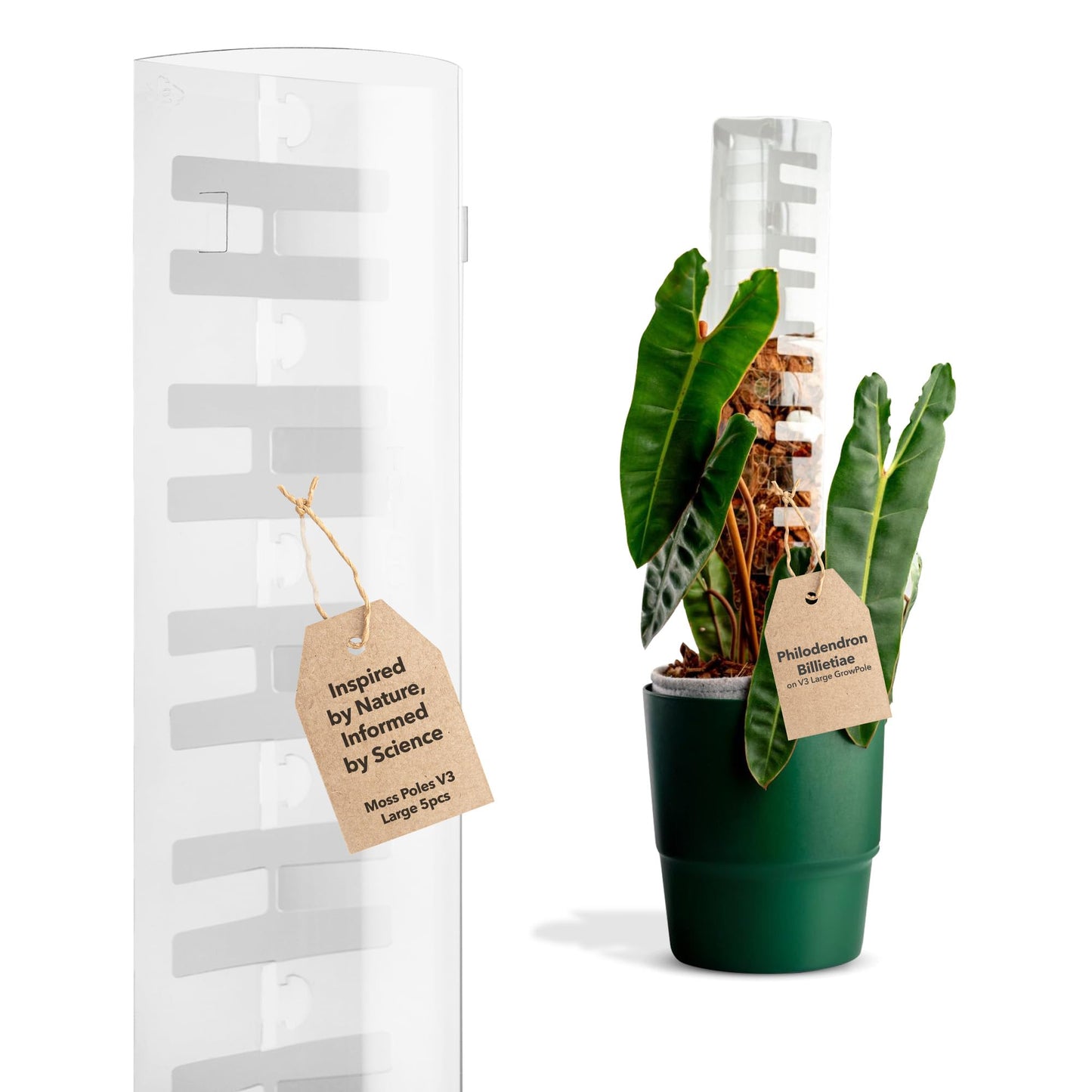 THICCLY GrowPole - Front Opening, Stackable Plastic Moss Poles for Climbing Plants, Monstera Plant Support-Plant Climbing Pole, DIY Plant Support for Philodendron & Anthuriums (V3 Large 5 Pcs)