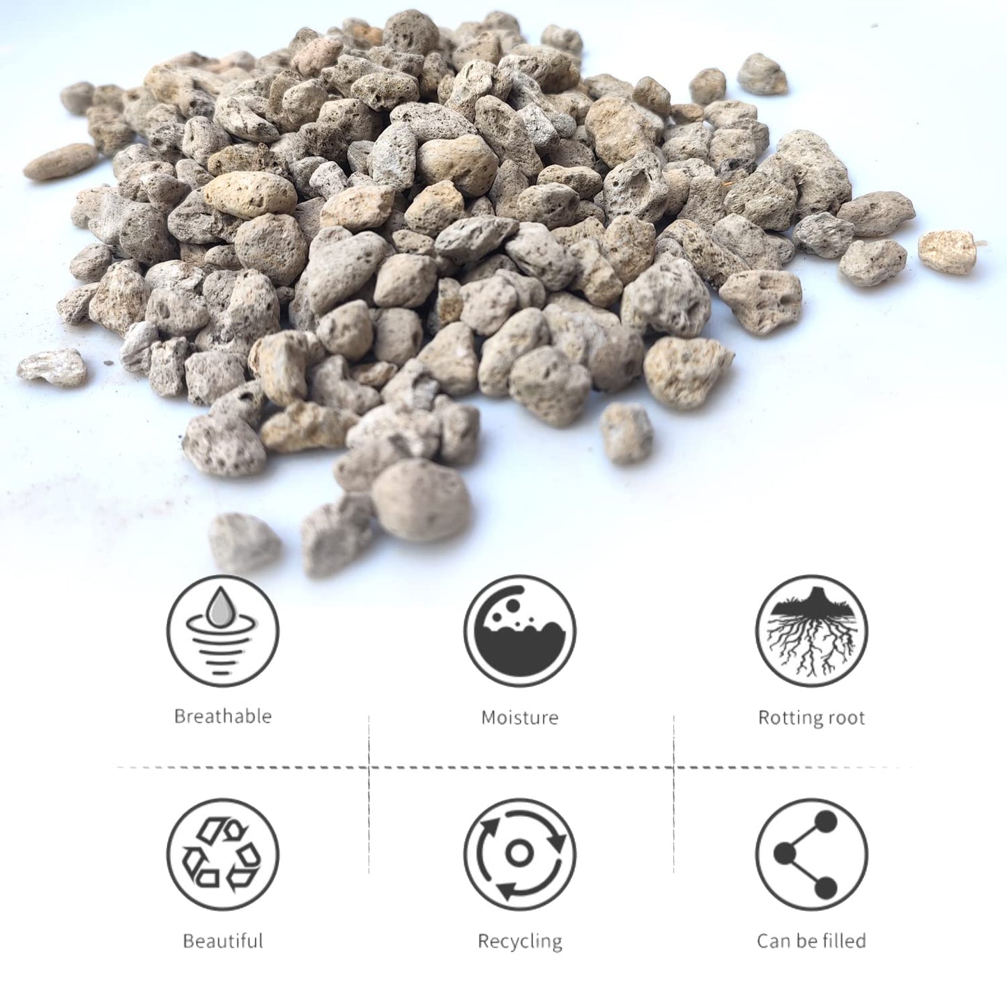Horticultural Pumice for Plants Professional Sifted - for Succulents, Cactus, Bonsai Plants (1/4 inch, 19L)