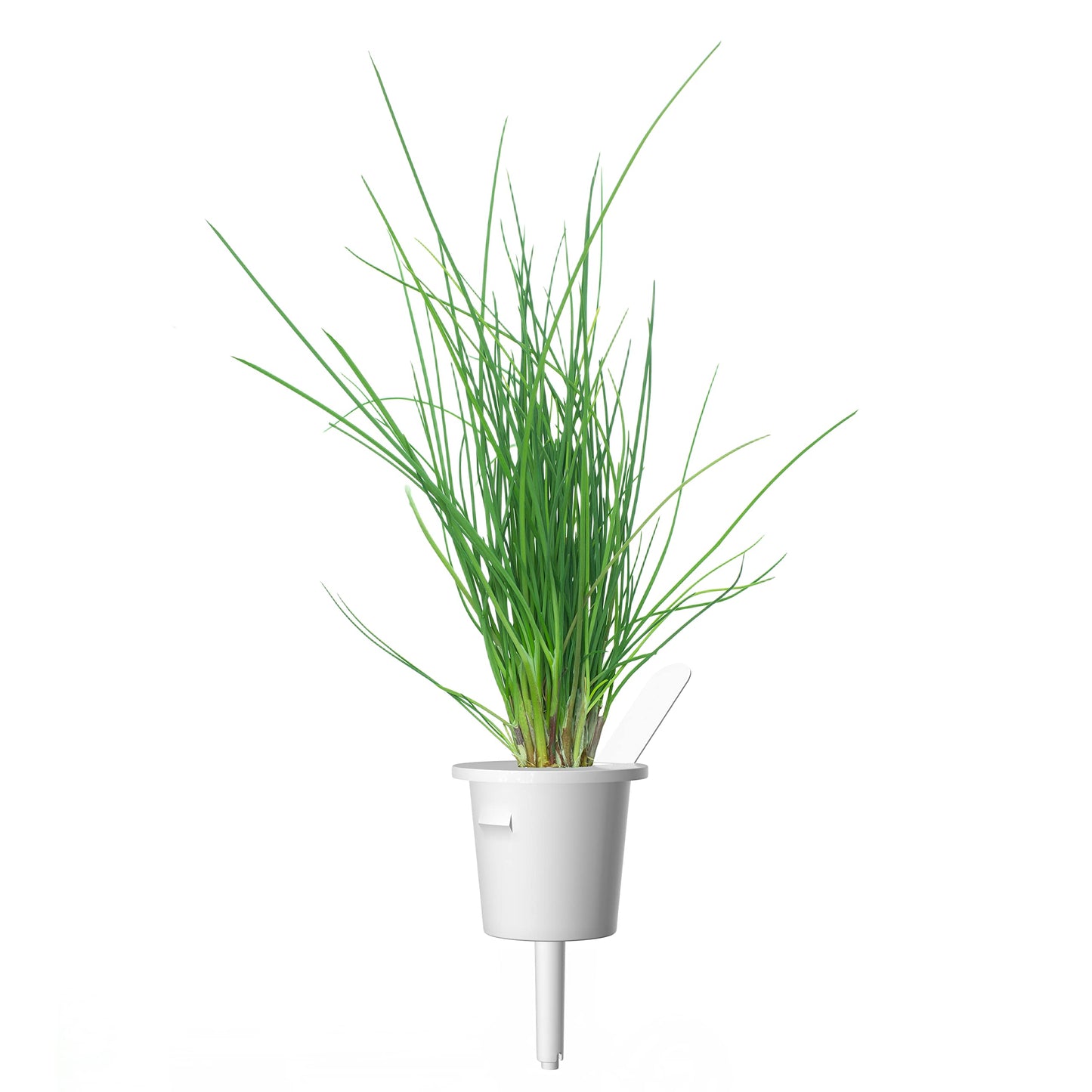 Click and Grow Smart Garden Chives Plant Pods, 9-Pack