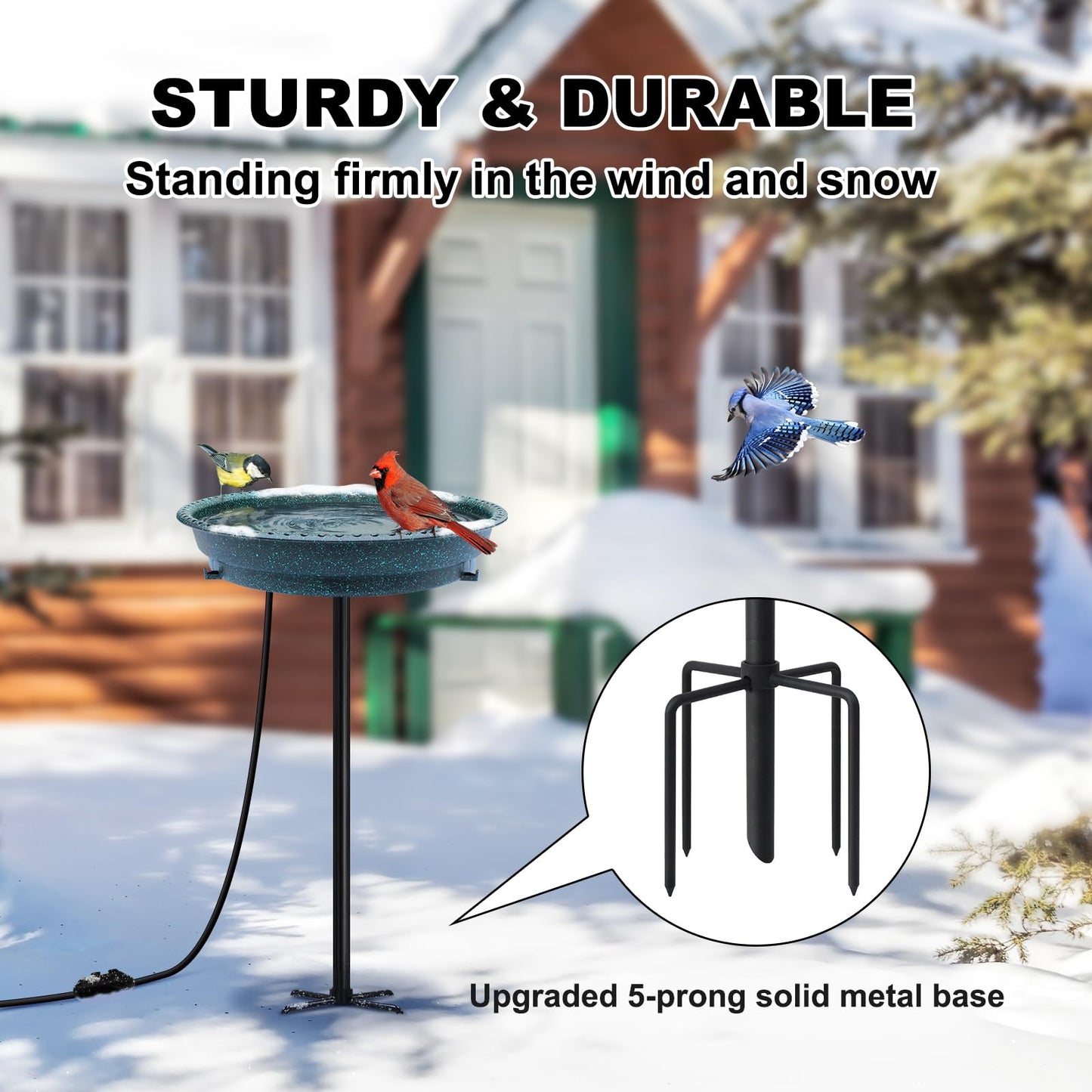 BIRD WISH Heated Bird Bath, Stable 5-Prong Metal Base Thermostat Control Weather Resistance All Seasons Available 75W Heated Bird Baths for Outdoors for Winter Garden Yard Patio Lawn, Spotted Green